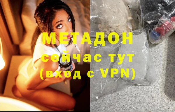 прущие грибы Липки