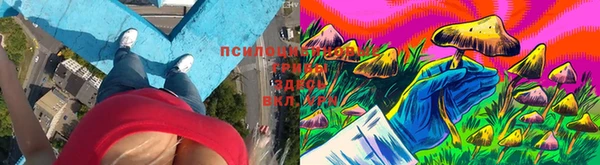 амф Аркадак
